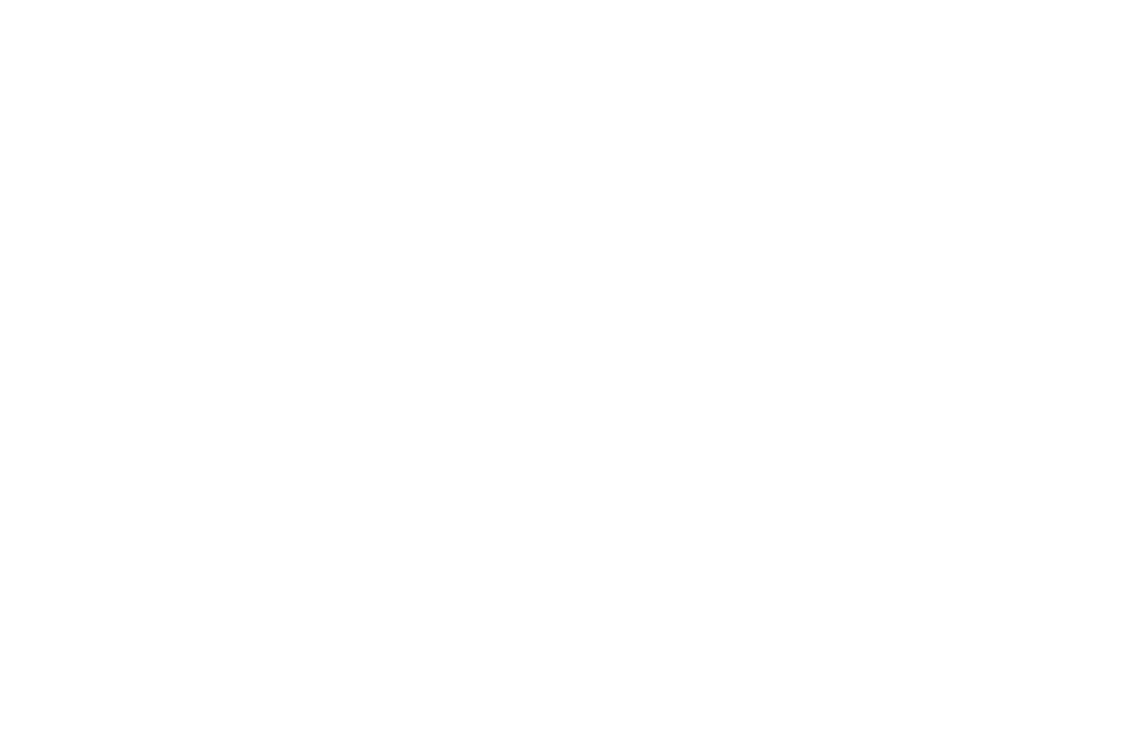 Wanted Festival WHITE